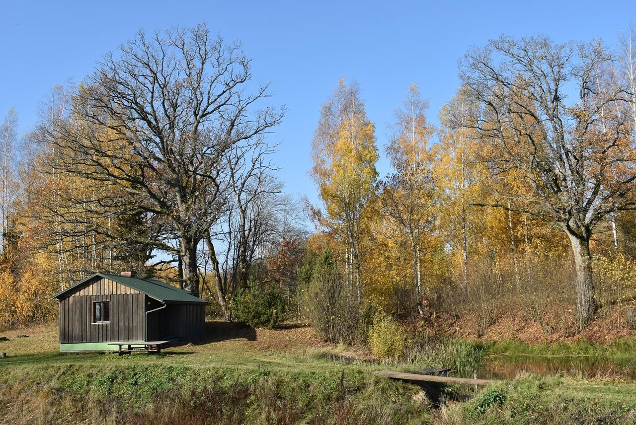 Дома для отпуска Lauku māja ģimenēm Rēķi